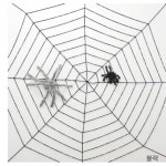 [1+1] 소품 굵은줄 홈파티 할로윈파티 장식 1.5m 거미줄 화신지업사 네오텍스 : 햇살스토어몰