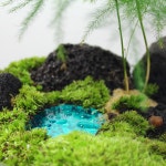 나만의 숲섬만들기 테라리움키트 테라리움DIY 이끼테라리움 : 숲의 조각