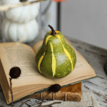 베이비 펌킨 가을 데코 호박 열매 모형 꾸러미 할로윈 장식 촬영 인테리어 소품 A타입 : 미스모네