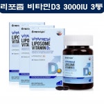 리포좀 비타민D3000IU 리포조말 햇빛 비타민디3 3통 : 미야마켓