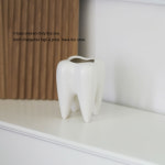 치아모양 연필꽂이 펜꽂이 이빨모양 홀더 치과 사무실 : 생생쇼핑