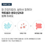 토모라이프 락토셀라 생유산균8 프로바이오틱스 유산균 60포 1박스 : 스토링
