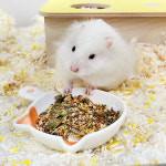 애니멀 프렌즈 세라믹 급식기 치즈냥이 : 햄토피아
