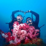 제주 서귀포다이브 / 제주도 스쿠버 다이빙 스노클링 : 브이패스