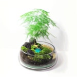 나만의 숲섬만들기 테라리움키트 테라리움DIY 이끼테라리움 : 숲의 조각