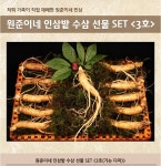 원준이네 인삼밭 수삼 선물 SET [3호] : 원준이네인삼밭