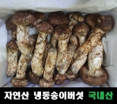 자연산 송이버섯 능이버섯 냉동 국내산 : 오성농수산장터