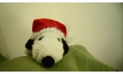 Snoopy 23 2010s Santa Snoopy Lying Plush Toy : irosam 이로삼