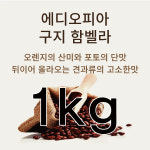 원두 에디오피아 구지 G1(1kg)[오렌지산미 뒤에 올라오는 견과류 깔끔한 마무리] : 더삼촌