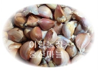 홍산마늘 (대1접) 100개 : 이랑농장