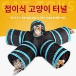 놀이 방향 훈련 어질리티 고양이 터널 강아지 : 데이찍구