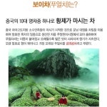 명품 운남 보이차 티백 선물세트 중국 전통차 운남성 금과공차 푸얼차 : 대비원