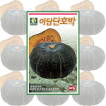 다농 아담단호박 씨앗 60립 채소 종자 : 씨앗나래