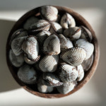 벌교 꼬막 당일조업 새꼬막 1kg 산지직송 : 농수산물유통