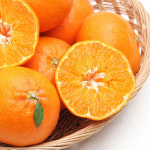 [선과장운영] 제주 명품 레드향 가정용 선물용 : 농업회사법인 미귤