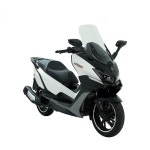 대림 XQ300 디앤에이모터스 300cc ABS 스마트키 전동윈드스크린 23년형 엑스큐 : DNA MOTORS