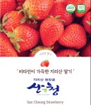 [당일수확배송] 지리산 청정골 생 설향딸기 500g / 1kg / 2kg : 온더하기