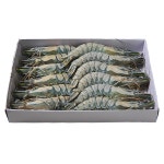 블랙타이거새우 12미 500g 어흥새우 얼룩 BT 냉동새우 캠핑용 왕새우 PC방 BLACK TIGER : 행운유통몰