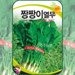 열무씨앗 짱짱이열무 종자 씨 30g 채소씨앗 : 주주씨앗