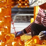 반건시 곶감 건시 못난이 흑곶감 감말랭이 상주 함안 산청 양촌 곶감 명절선물세트 : 달달하지