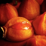 반건시 곶감 건시 못난이 흑곶감 감말랭이 상주 함안 산청 양촌 곶감 명절선물세트 : 달달하지