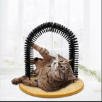 고양이 셀프 그루밍 아치형 브러쉬 솔 털관리 마사지기 : 으닝으닝