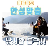 반디 빙어낚시대 얼음 빙어 낚시 : 담비잡화소