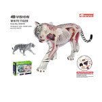 동물 해부모형 조립식 해부도 전신 4D 실습용 교구 : 멀코스