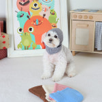 테디 베어 자켓 강아지 겨울옷 아우터 후리스 : 아르무아 미뇽