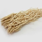 황기 식재 산야초 씨앗 품종 작물 식물 종자 3000립 : 예드샵