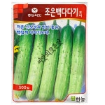 조은백다다기 오이씨앗 500립 오이씨 종자 팜한농 : 씨앗의모든것