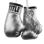 타이틀 미니 복싱글러브 / 권투 킥복싱 UFC MMA 키링 : 주드몰