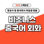 (1:1 개인 피드백) 비즈니스 중국어 회화 2개월반 온라인 중국어 스터디 : 하이니 중국어