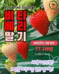  명품 100%국내산 프리미엄 비타 베리 딸기  (딸기계   샤인머스켓) 500g+500g 1박스 : 다사-유통