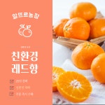 알뜨르 농장 친환경 제주 레드향 3kg 5kg : 알뜨르농장