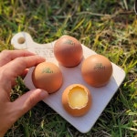 난각번호1번 유정란 동물복지 non-GMO 계란 달걀 40구, 1개 : 아빠사랑팜