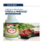나라바이오 모두싹 칼마 칼슘 마그네슘 붕소 : 조촌식물병원육묘장
