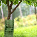 묘목 나무 울타리 보호 커버 정원 과수원 : 흥하다흥