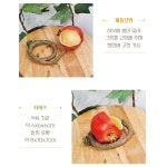 투명 조이클린케이지 중 크레스티드게코 도마뱀 하우스게코 조이렙타일 사육장 : 이색동물 전문 레니팜