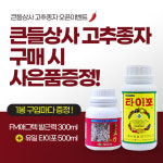 복합차이나 고추 1200립 고추종자씨 조생종 극대과 건과품질 최상 연속착과형 탄저 칼라 역병 바이러스 골드바이오 : 큰들상사
