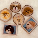 부산 양모펠트 반려동물 양모초상화지도사 자격증 2급 오후4시공방 : 4pm