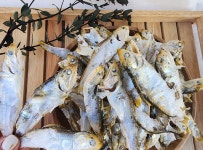 남해안 햇 고노리(곤어리)1.5kg 업소용 국물용 육수용 다시멸치 국내산 : 어부의설레임