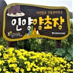 인양현미흑초(3년이상 발효숙성) 500mL : 인양양초장