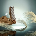 镶齿梳蒹葭 : 단목장