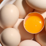 백봉오골계알 80구 초란 유정란 자연방사 당일수거/당일농장직배 (80,90,100구) : 더존실키팜