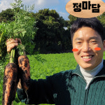 못난이당근 3kg 5kg 10kg 구좌 주스용 제주 당근 흙당근 : 프레쉬팡팡