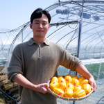 성주참외 참외 못난이참외 꼬마 10kg 5kg : 달콤한 수확