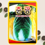 배추씨앗 춘광 배추 종자 2000립 사카타코리아 : 식물세계