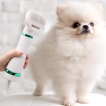 그루밍브러쉬 반려동물 강아지 고양이 뭉친털제거 펫드라이 저소음 : 코지한데이