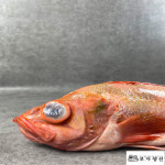 부자생선 본점 반건조 제수용 생선 저염 적어(빨간고기) : 구포시장 장현우